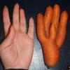 هویج دست نما